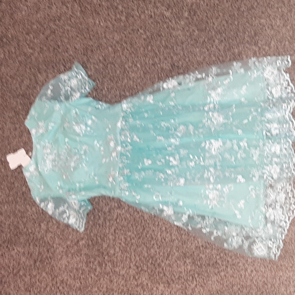 New Hebos Homecoming Dress
